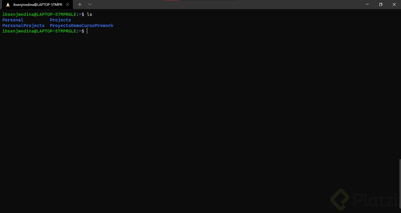 Screenshot Terminal.png