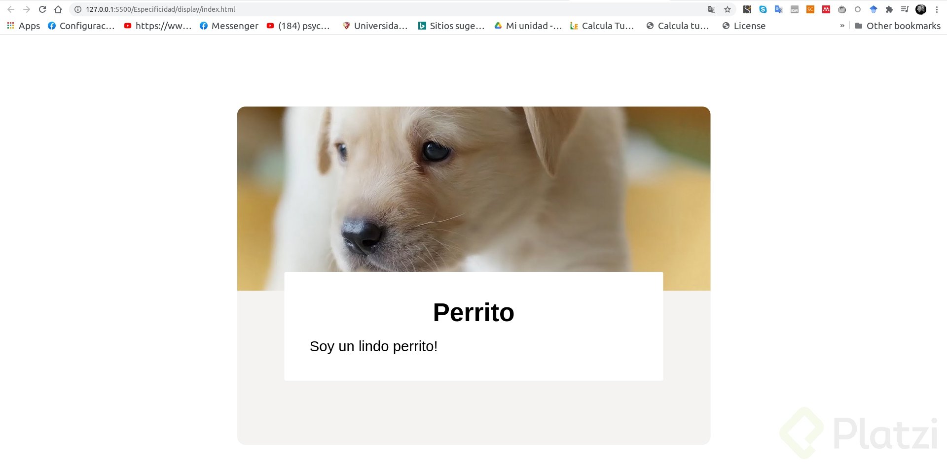 Screenshot from 2020-11-23 20-33-21.png