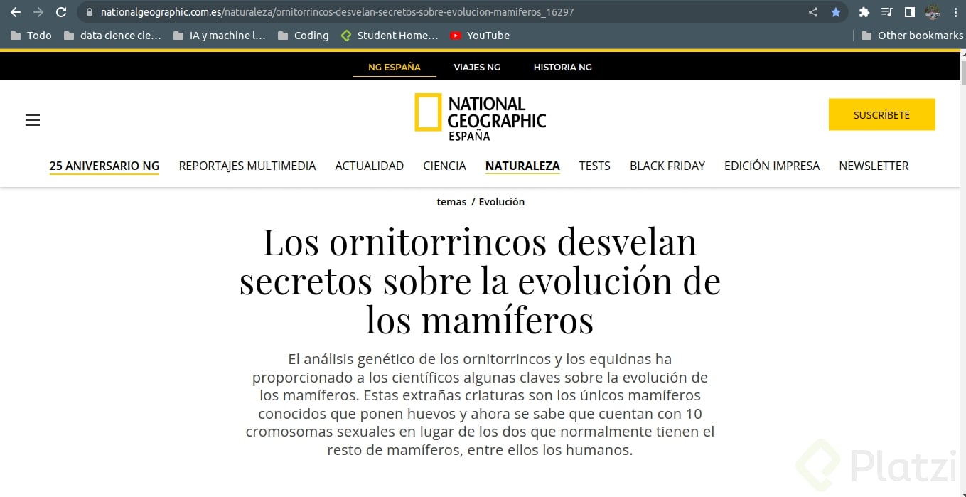 Screenshot from 2022-11-22 18-47-47.png