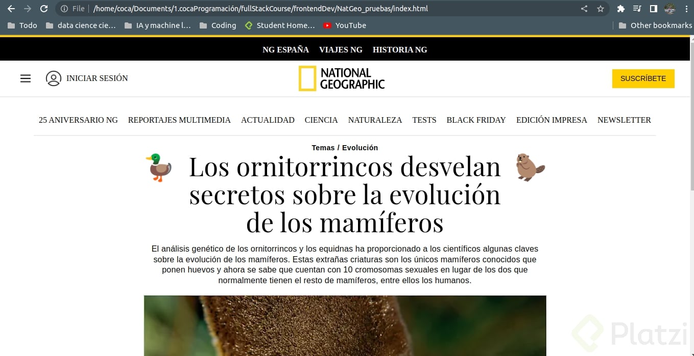 Screenshot from 2022-11-22 18-49-45.png