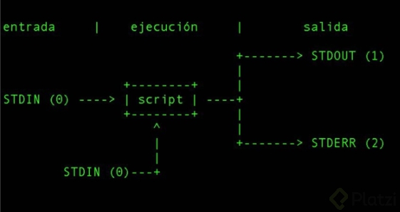 Standard Input y Standard Error - Script.png