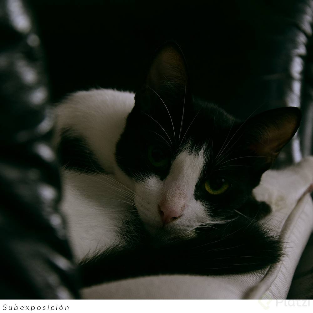 Subexposición.jpg