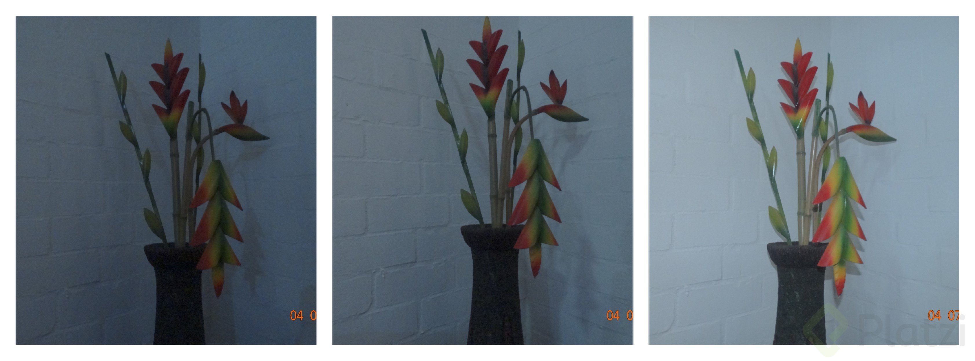 Subexposicion y Sobeexposicion.jpg