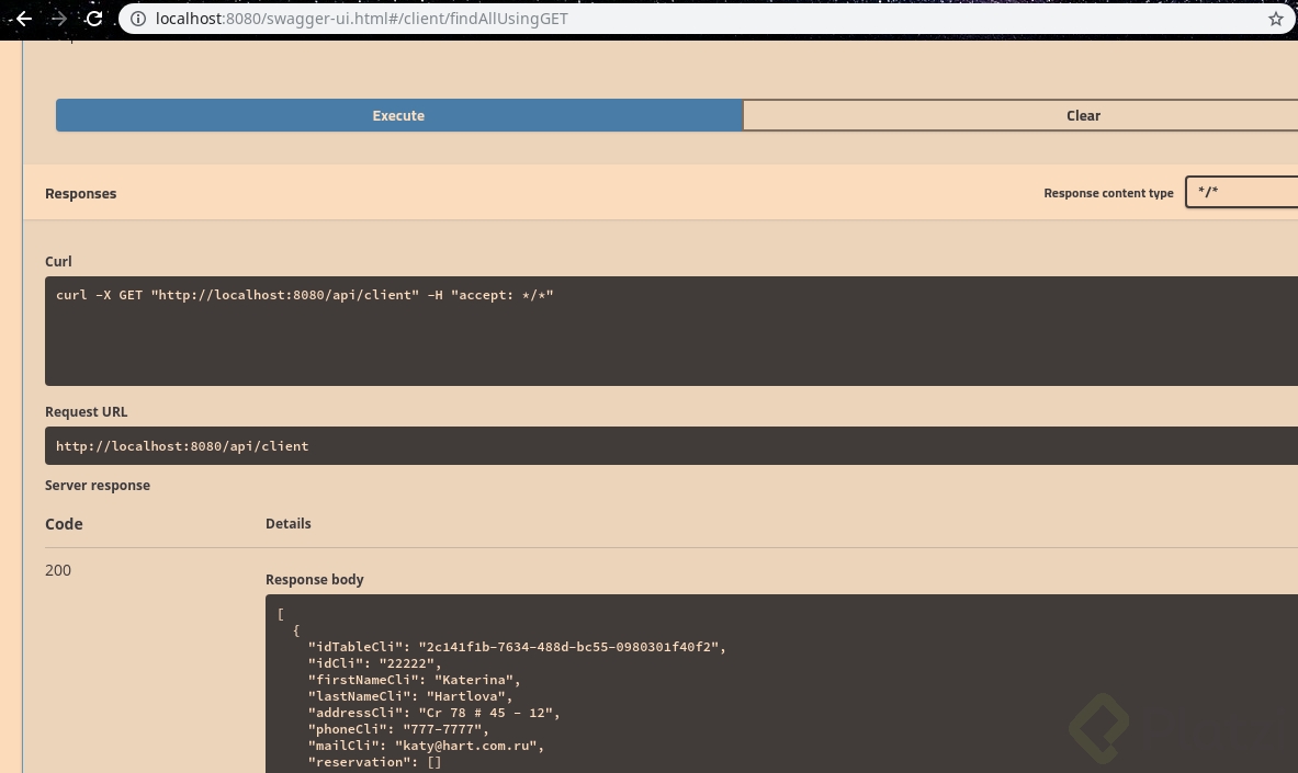 Swagger UI - Chromium_012.png