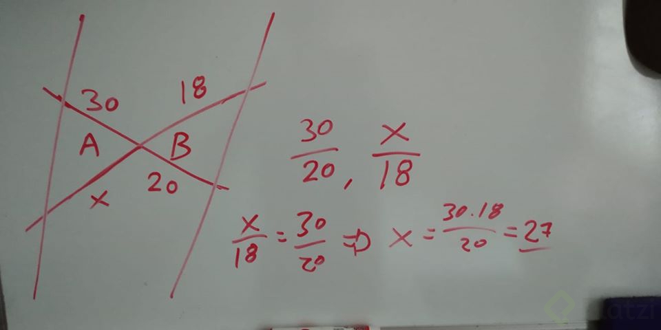 Teorema de Thales.jpg