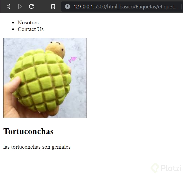 Tortuconchas.PNG