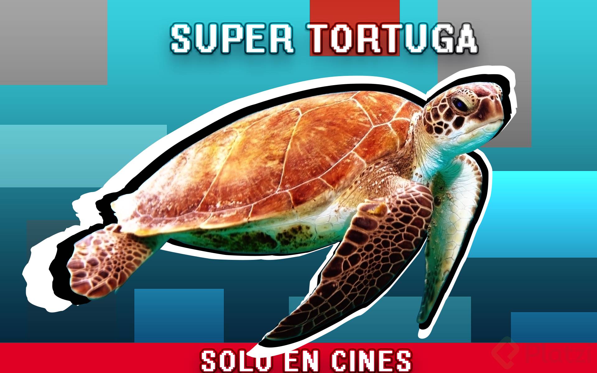Tortuga (21).png