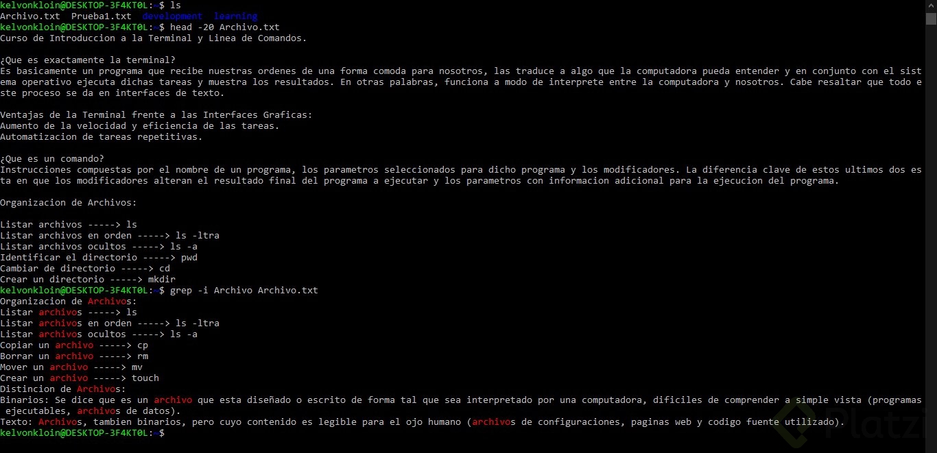 Tratamiento de texto.jpg