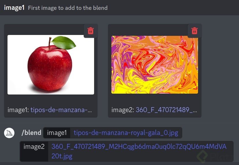 Untitled (6).png
