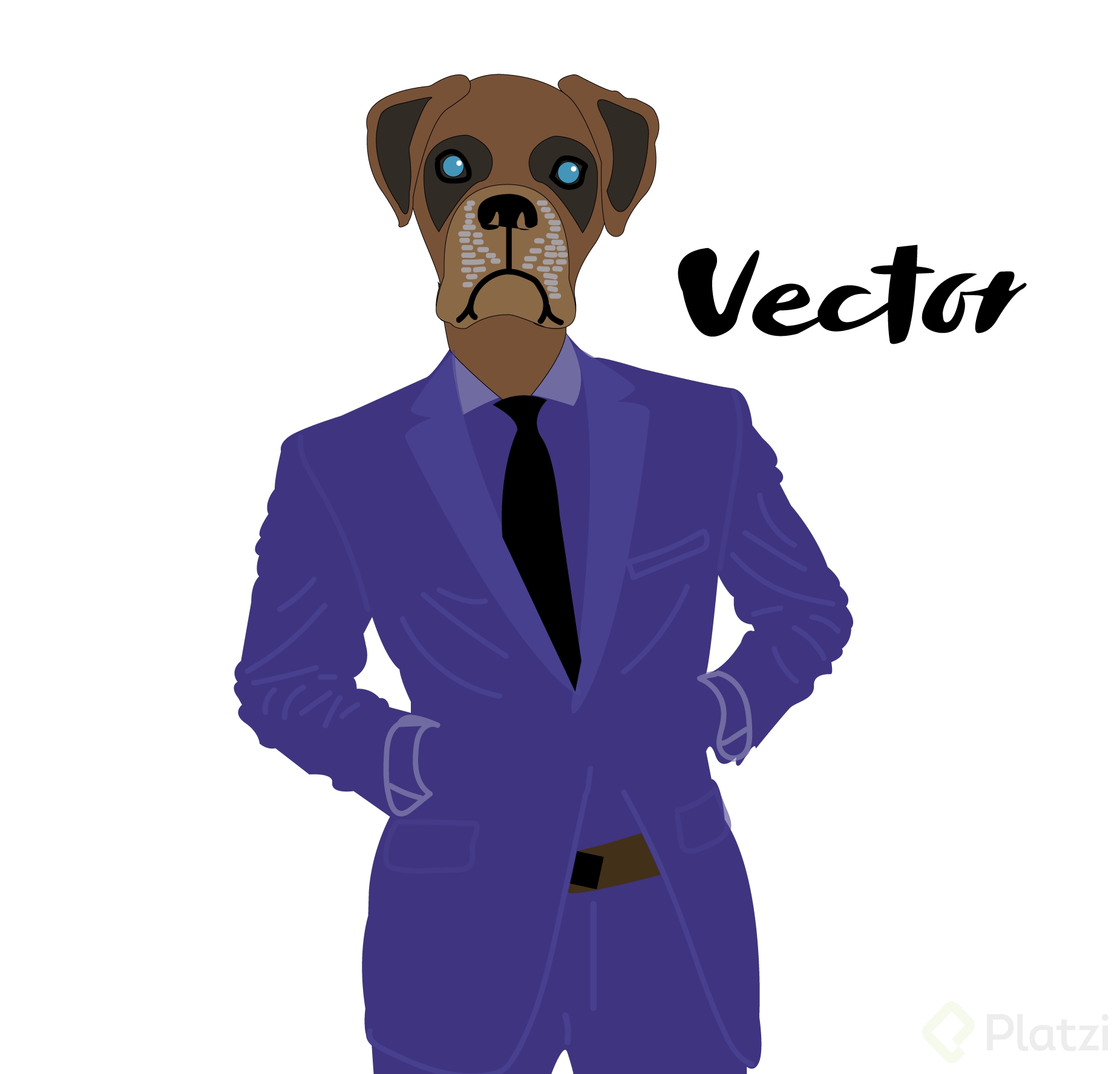 VECTOR-FOX.png