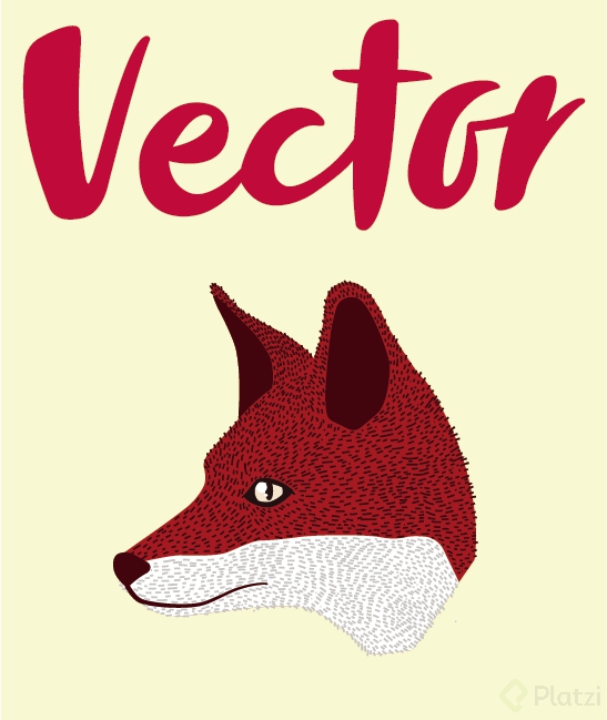 Vector Zorro.png