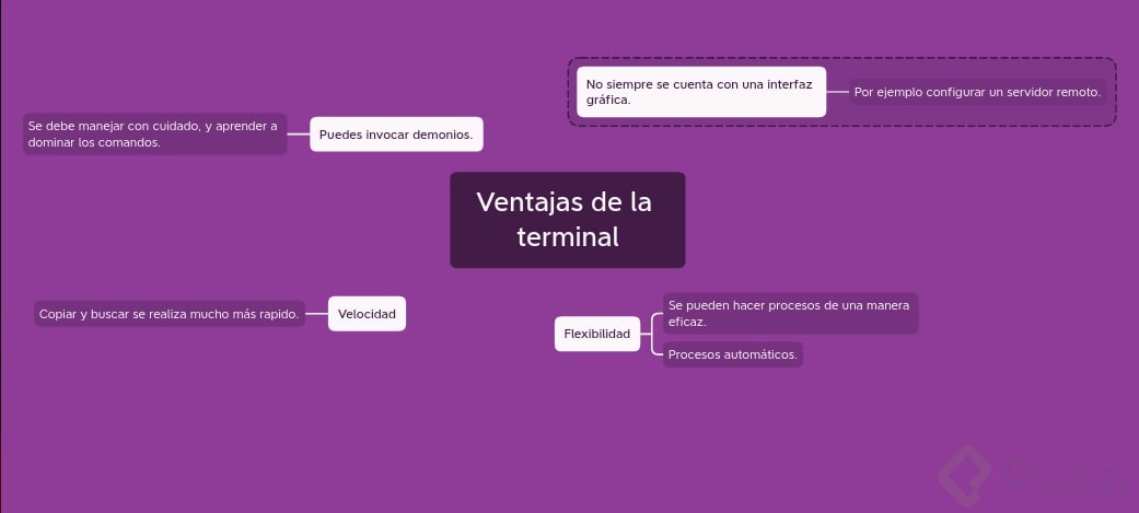 Ventajas_Terminal.png