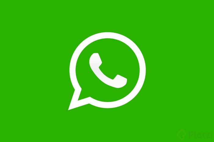 WhatsApp 1.png