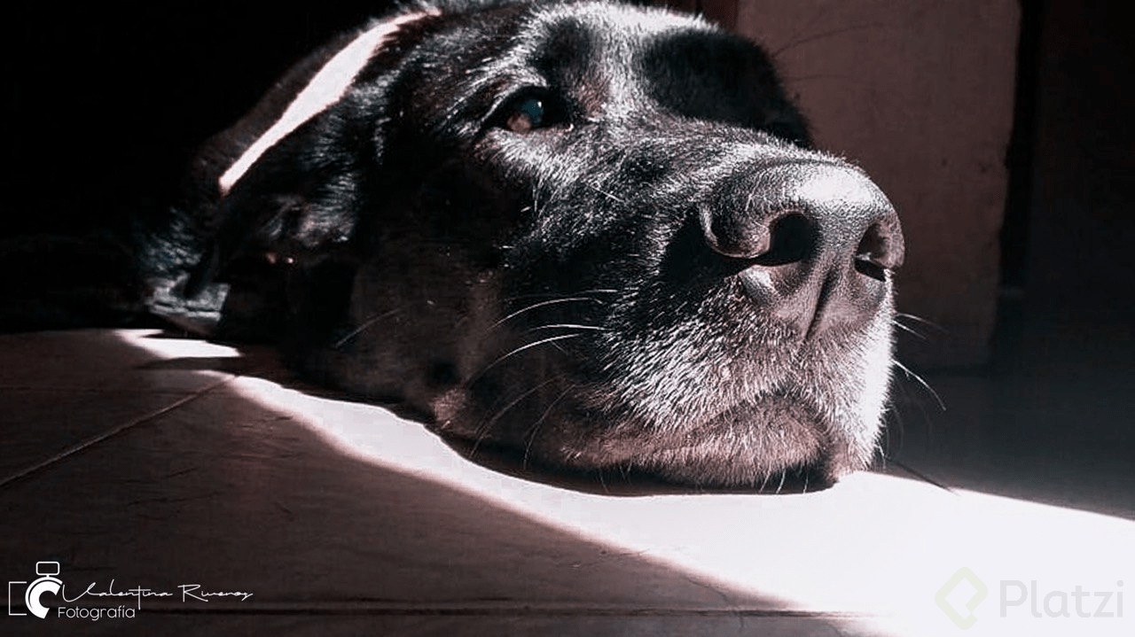 WhatsApp Image 2020-07-13 at 9.38.29 PM (1).png