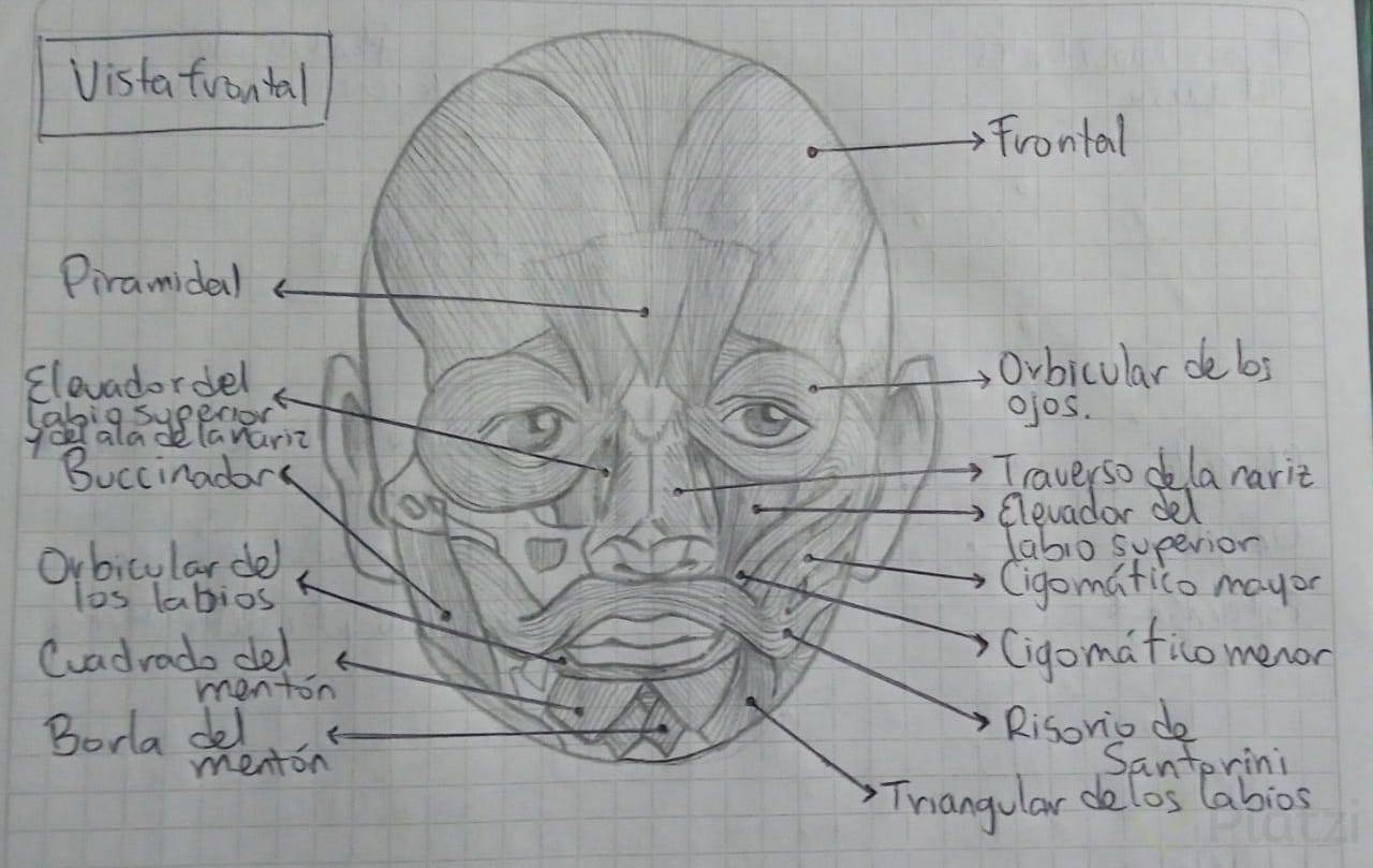 WhatsApp Image 2022-11-01 at 7.10.13 PM.png