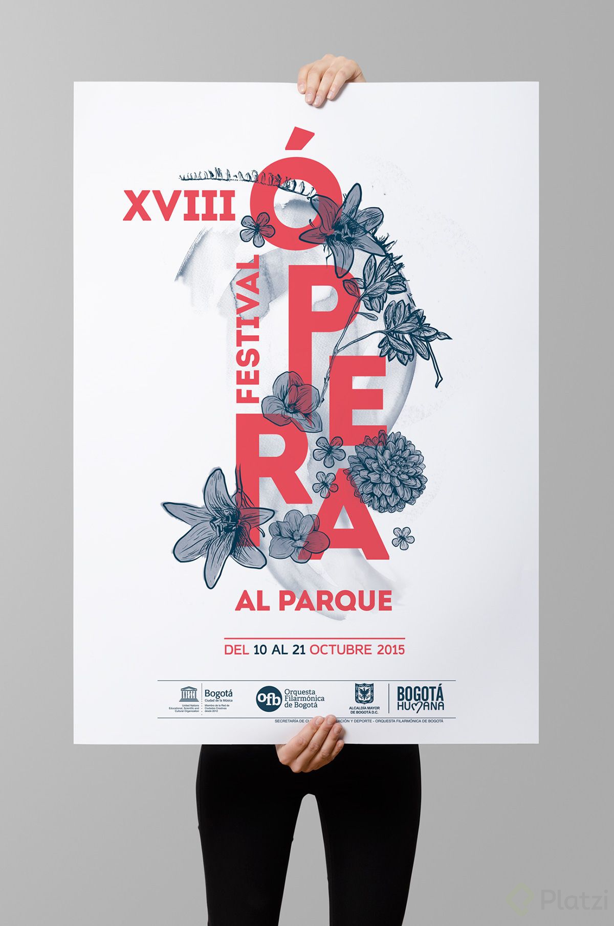 XVIII Festival Ópera al Parque.jpg