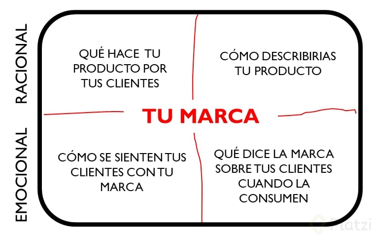 adn-marca-español-1.png