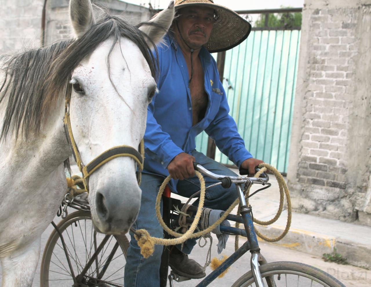 caballo.jpg