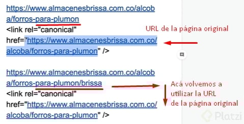 canoni.png