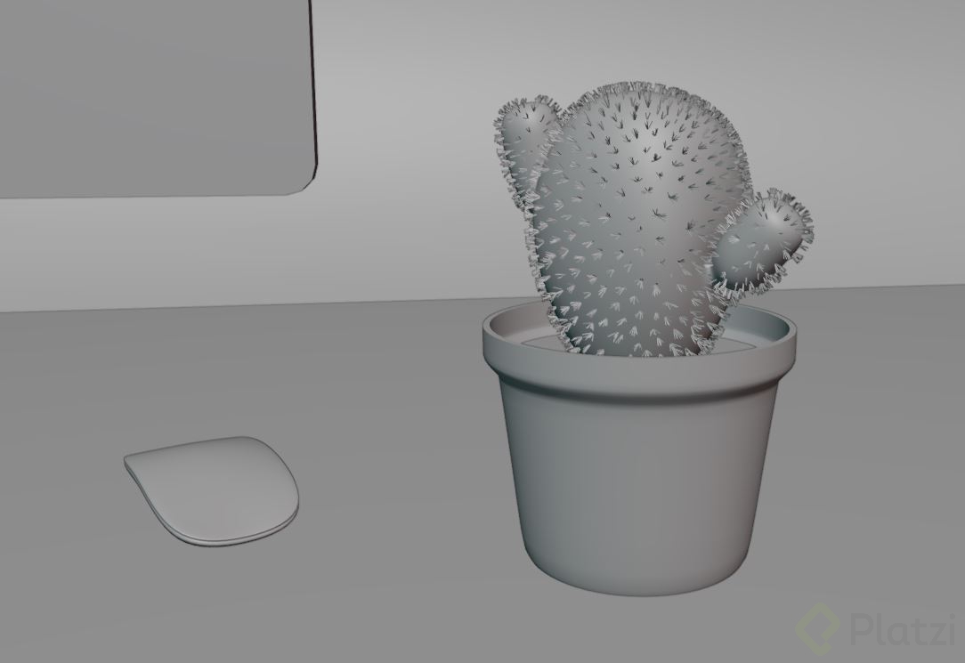 captus con espinas.JPG