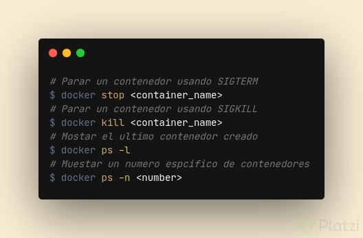 carbon (25).png