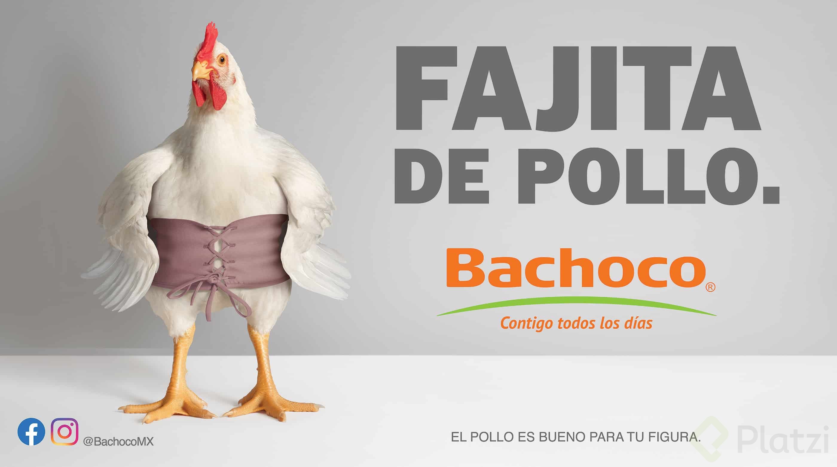 cartelera-bachoco-fajilla-de-pollo.jpg