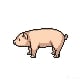 cerdo.png