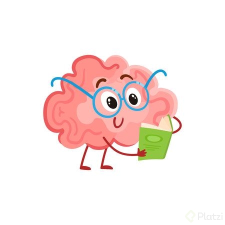 cerebro.png