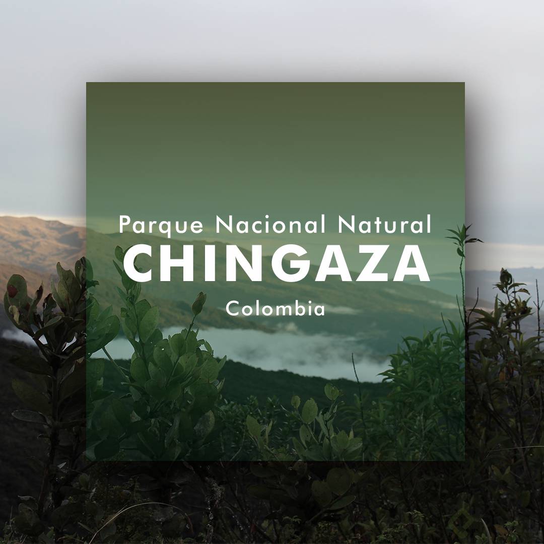 chingaza 2.png