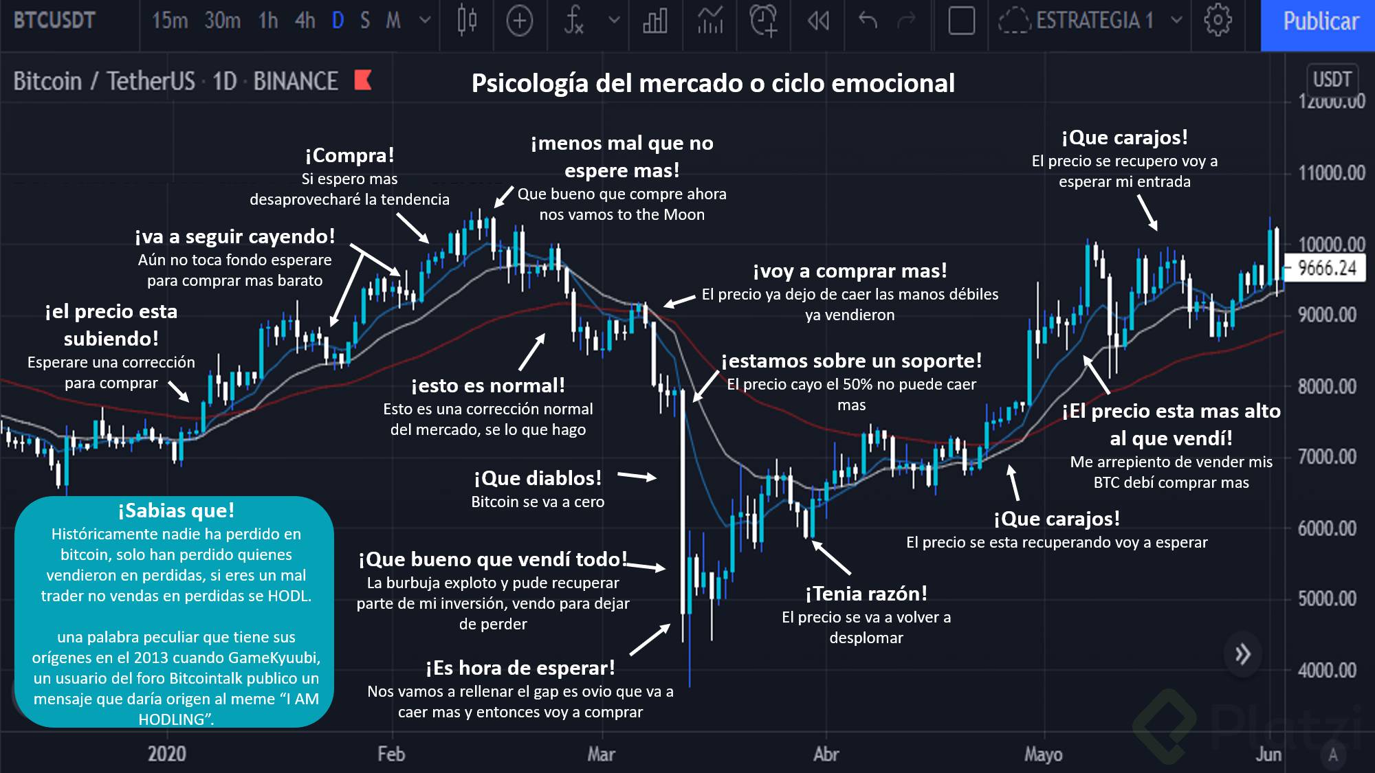 cicologia del mercado.png