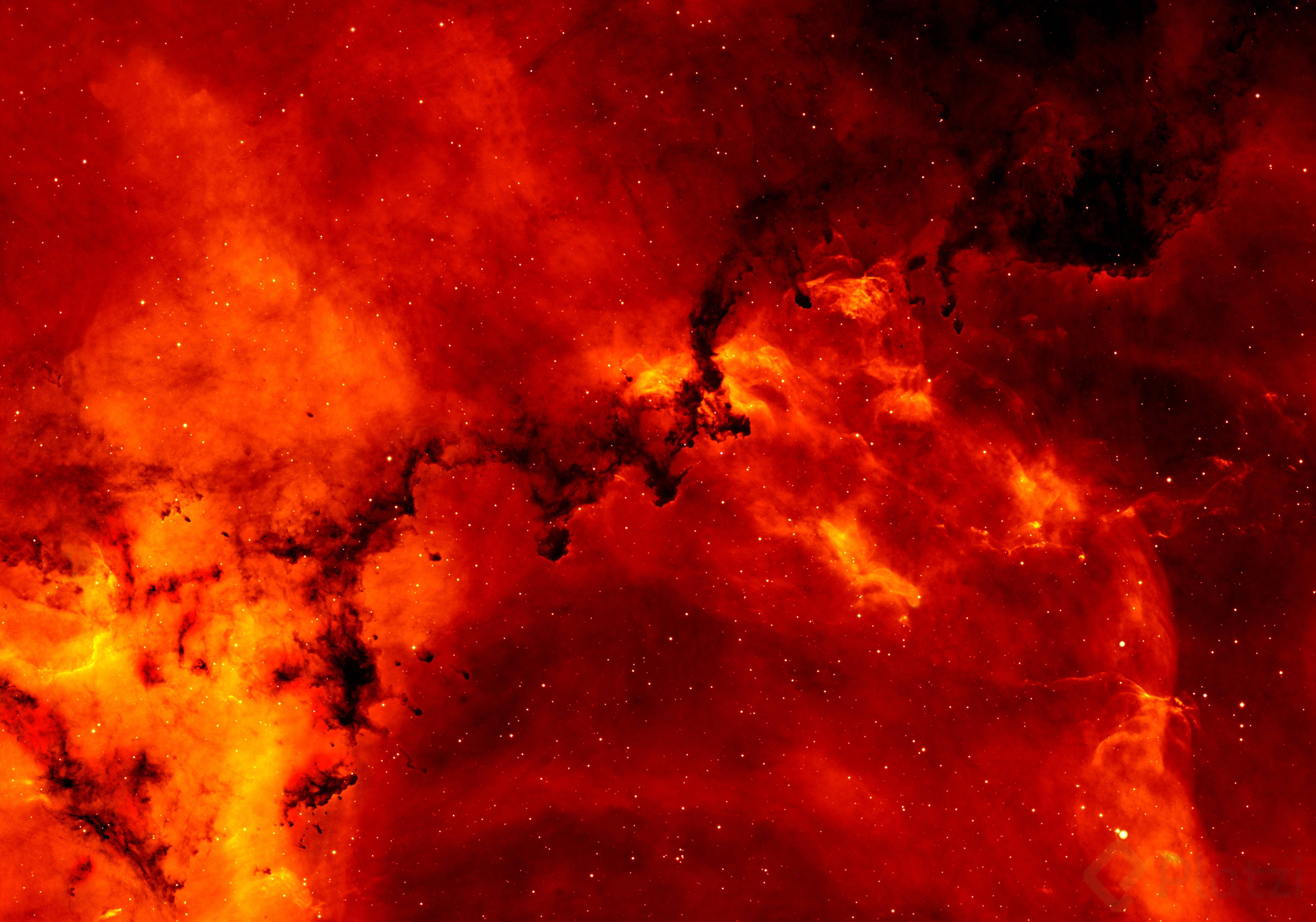 close-up-color-colour-73873.jpg