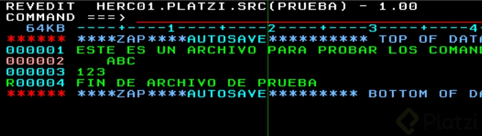 cobol13.png