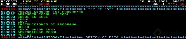 cobol7.png