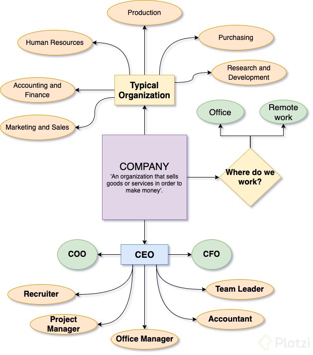 companys_organization.jpg