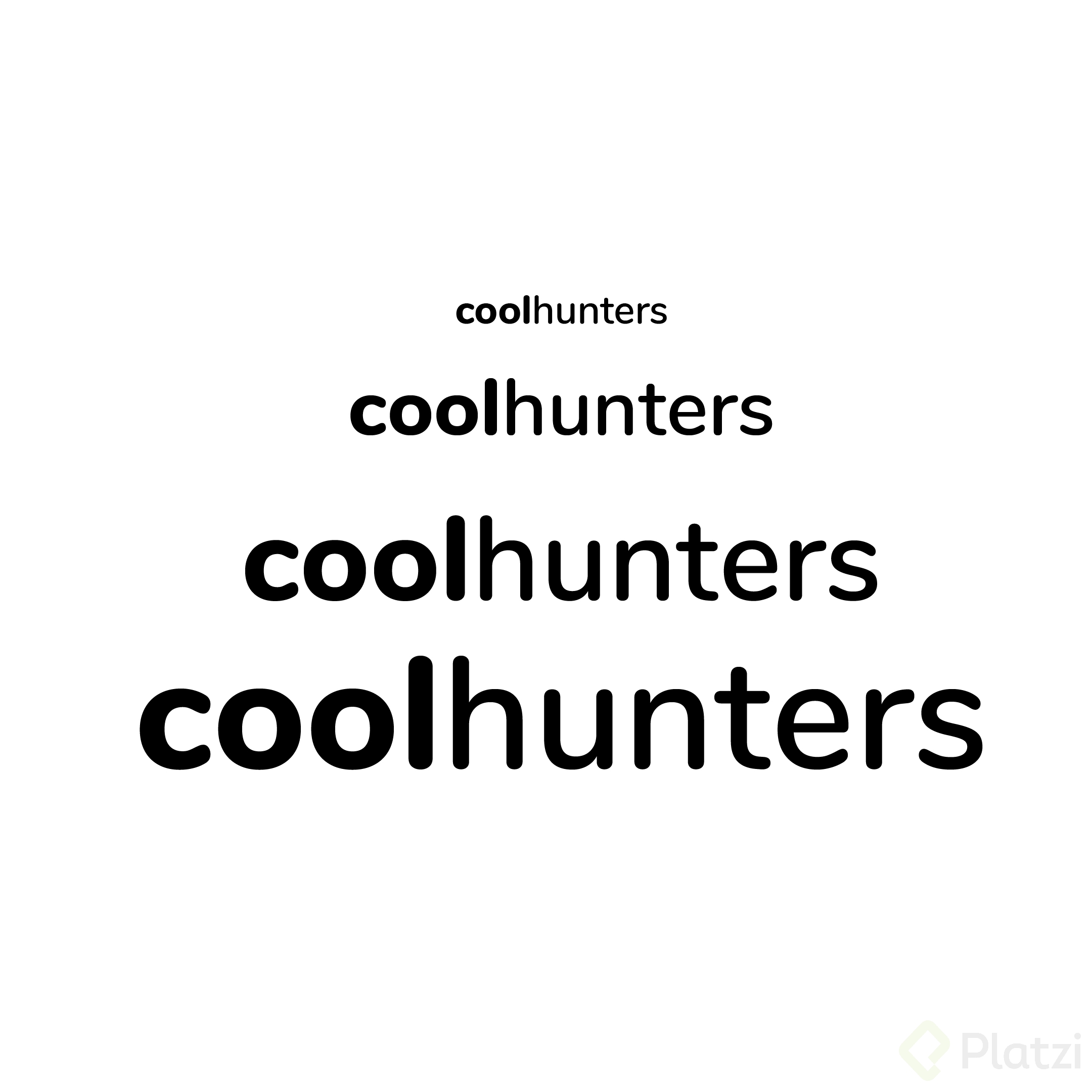 coolhunters typo@2x-100.jpg