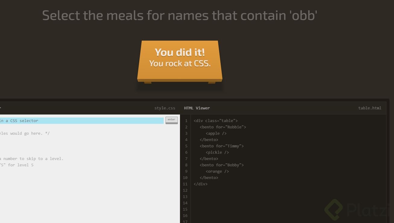 css.JPG