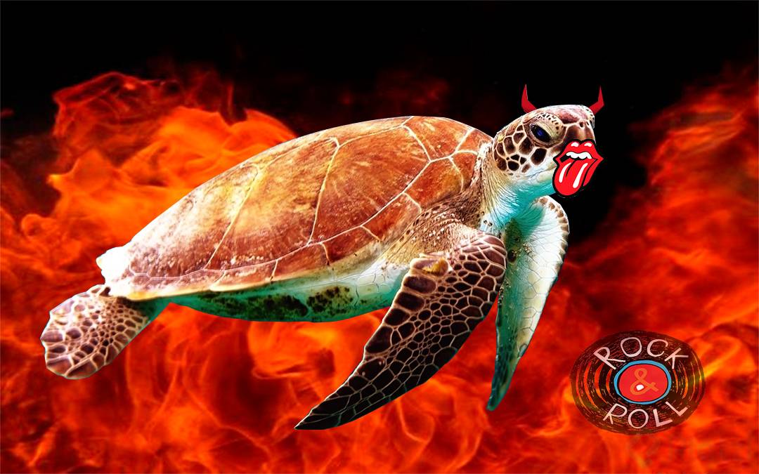 demoniac turtle.jpg