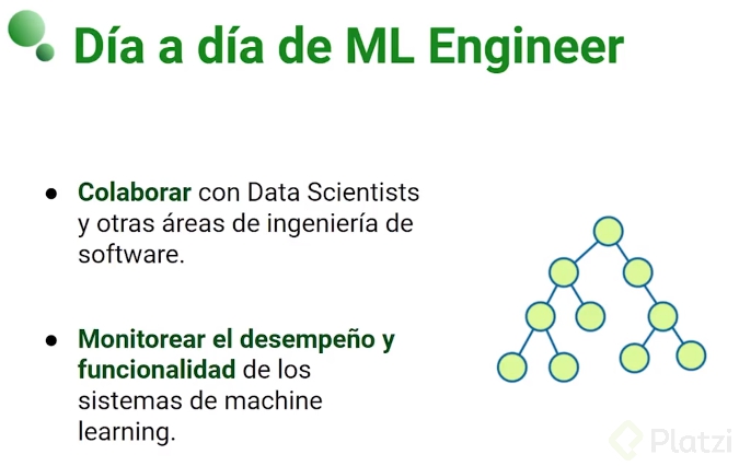 dia a dia del ML02.PNG