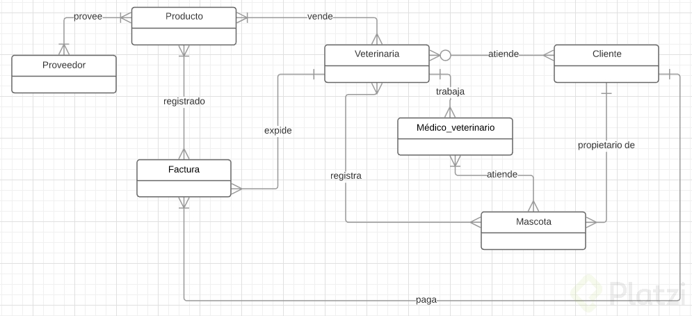 diagrama E-R Veterinaria.png