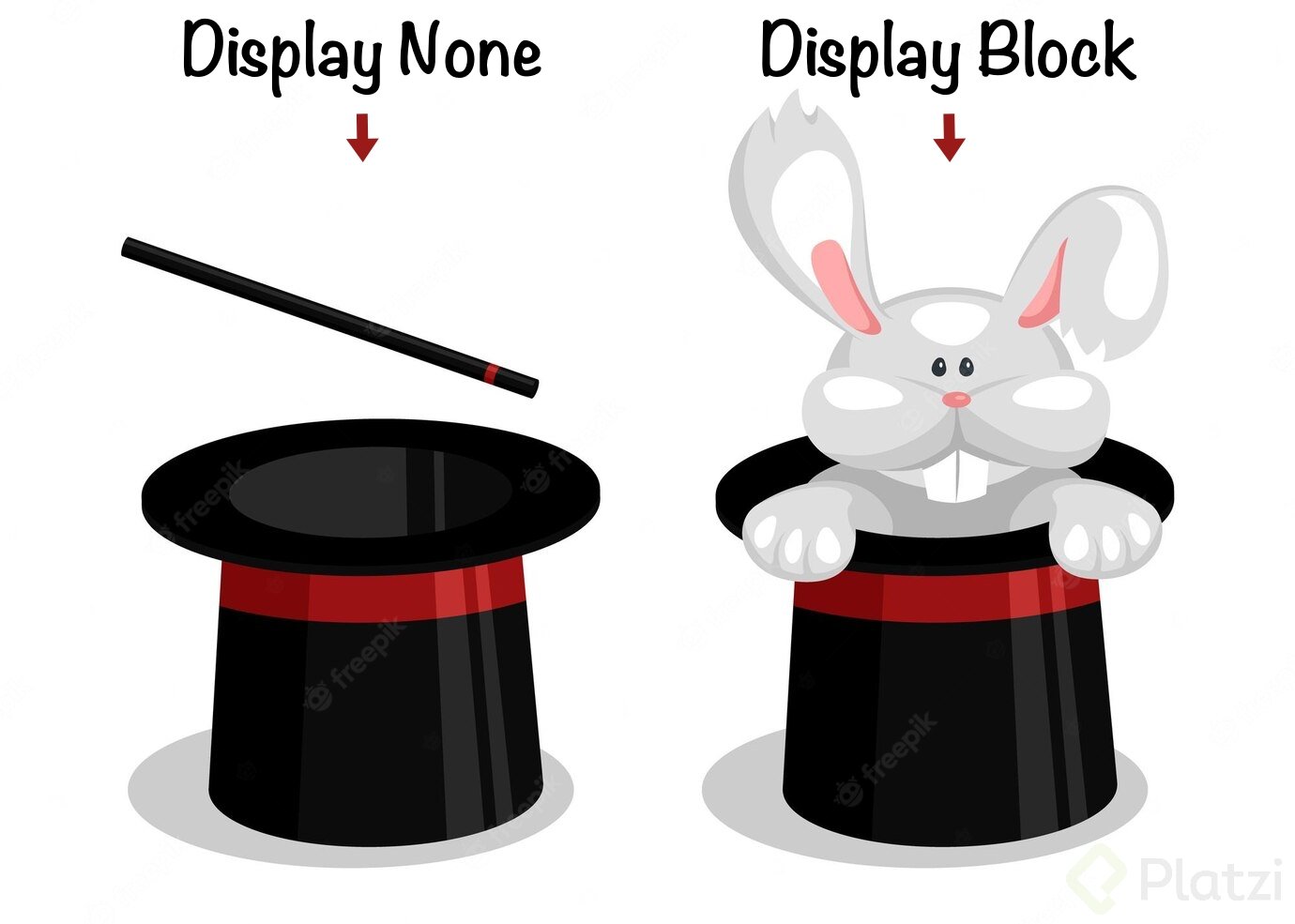 display-none-display-block.jpg
