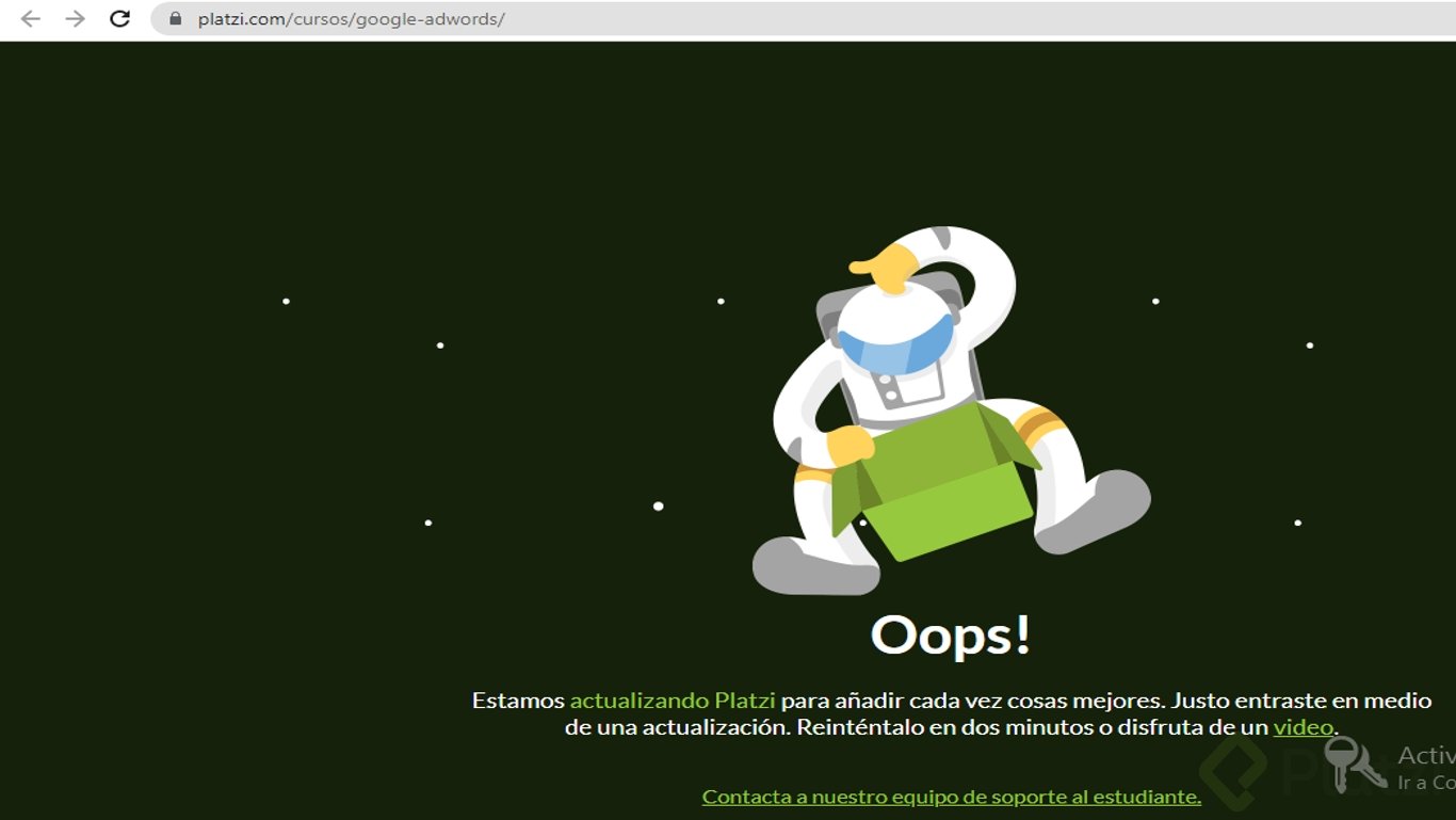 error 500 profesional de google ads.png
