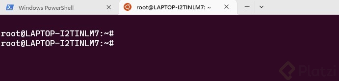 error ubuntu.jpg
