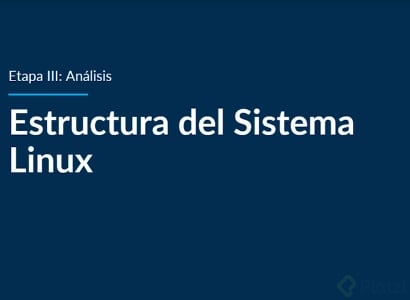 estructura_linux.PNG