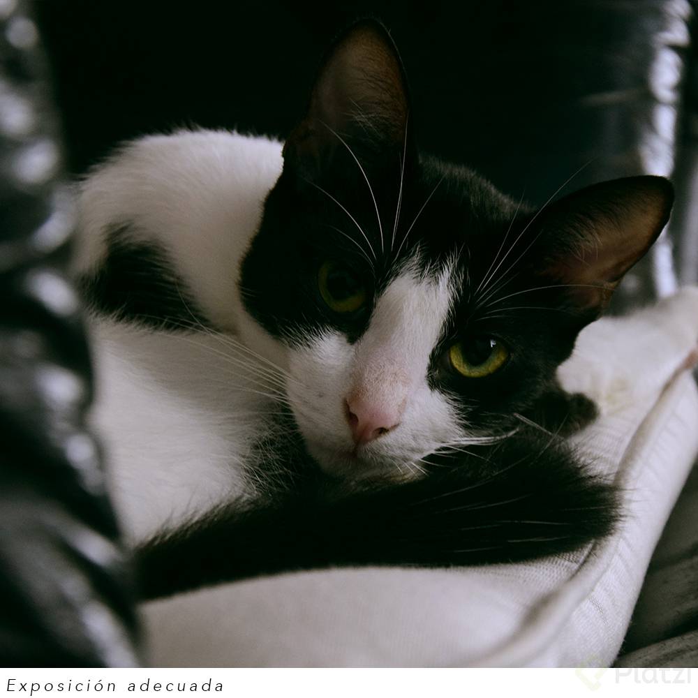exposición adecuada.jpg