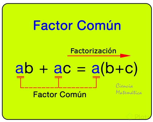 factor-comun.png