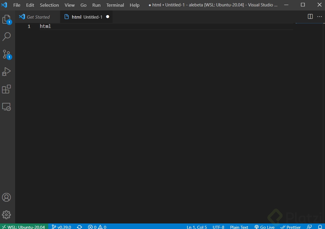 fallo visual code.png