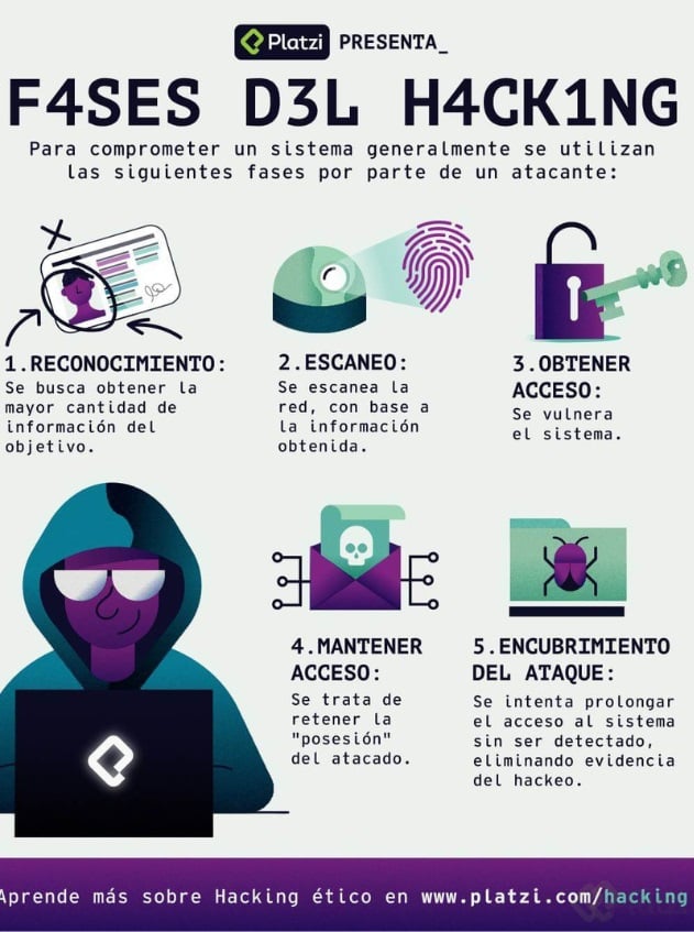 Las Fases Del Ethical Hacking – Theme Route