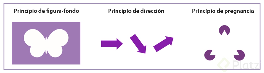 figura-dirección-pregnancia (1).jpg