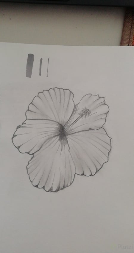 flor.jpg