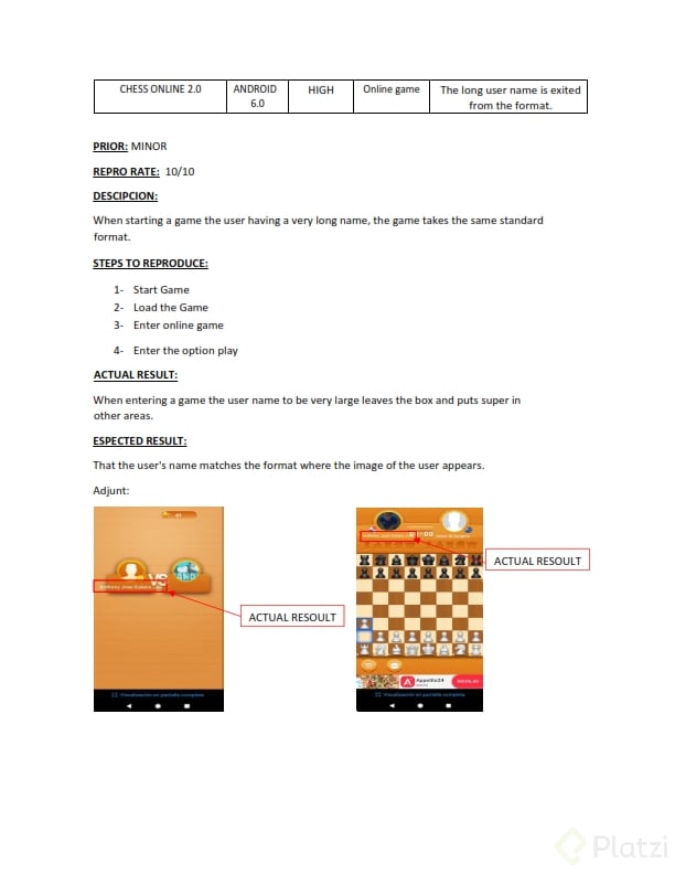 formato para bug. Juego de CHESS_005.png